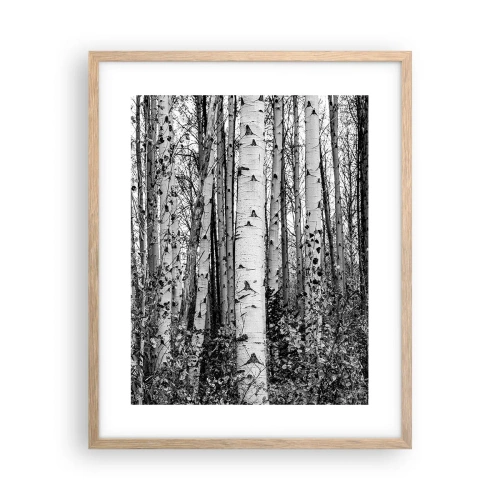Plakat w ramie jasny dąb - Brzozowa kolumnada - 40x50 cm