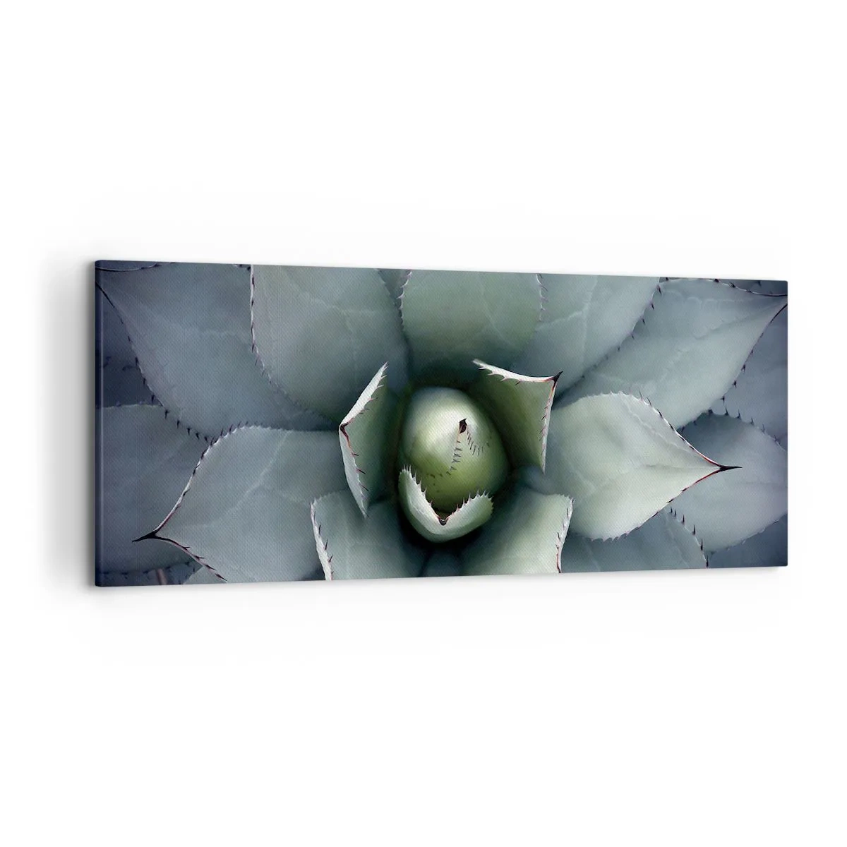 Obraz na płótnie - Zbliżenie na rozetę agawy w delikatnych odcieniach zieleni - 120x50cm - Wabi i przestrzega - Nowoczesna dekoracja ścienna do salonu i sypialni ARTTOR