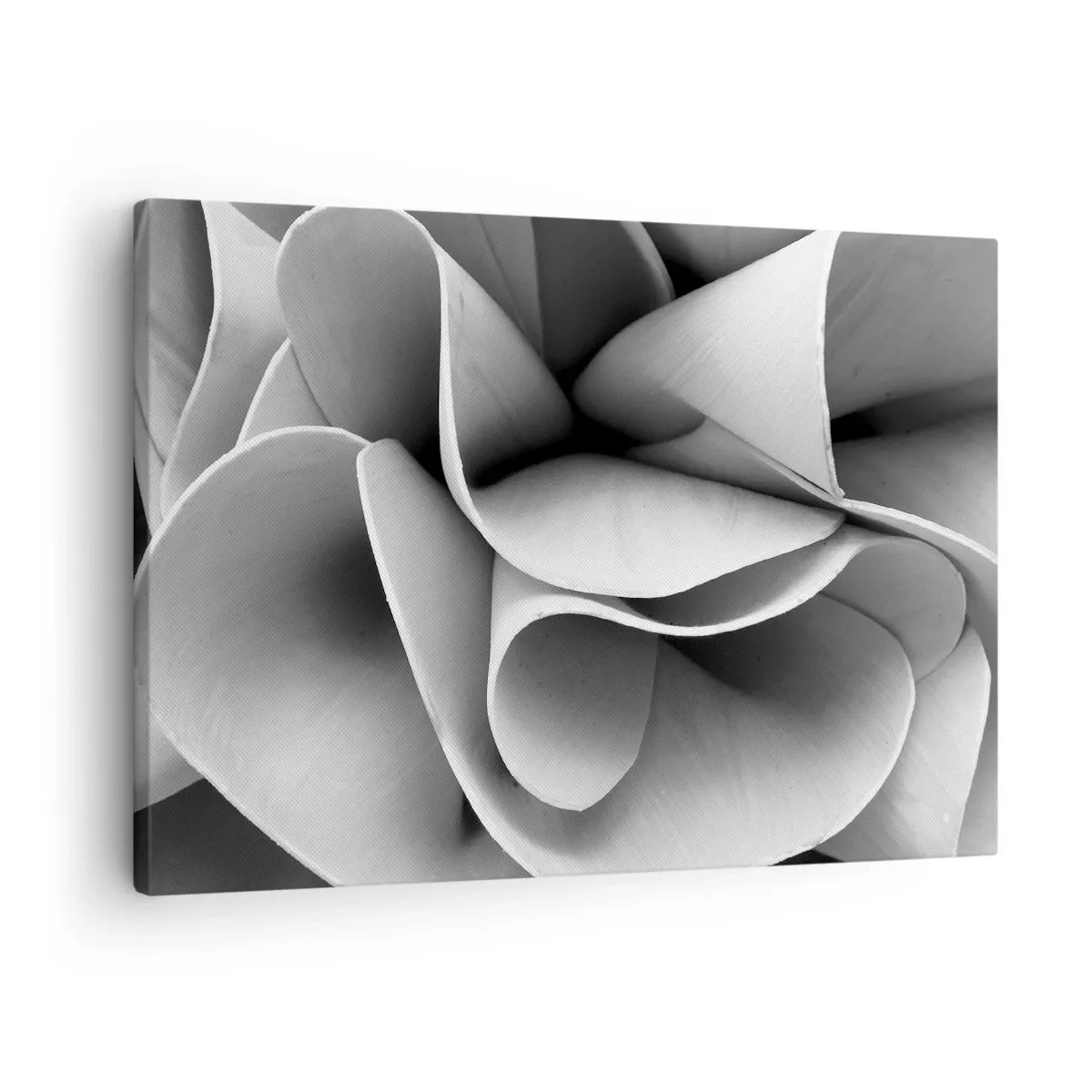 Obraz na płótnie - Czarno-białe detale abstrakcyjnych form - 70x50cm - Dzieje się w przestrzeni - Nowoczesna dekoracja ścienna do salonu i sypialni ARTTOR