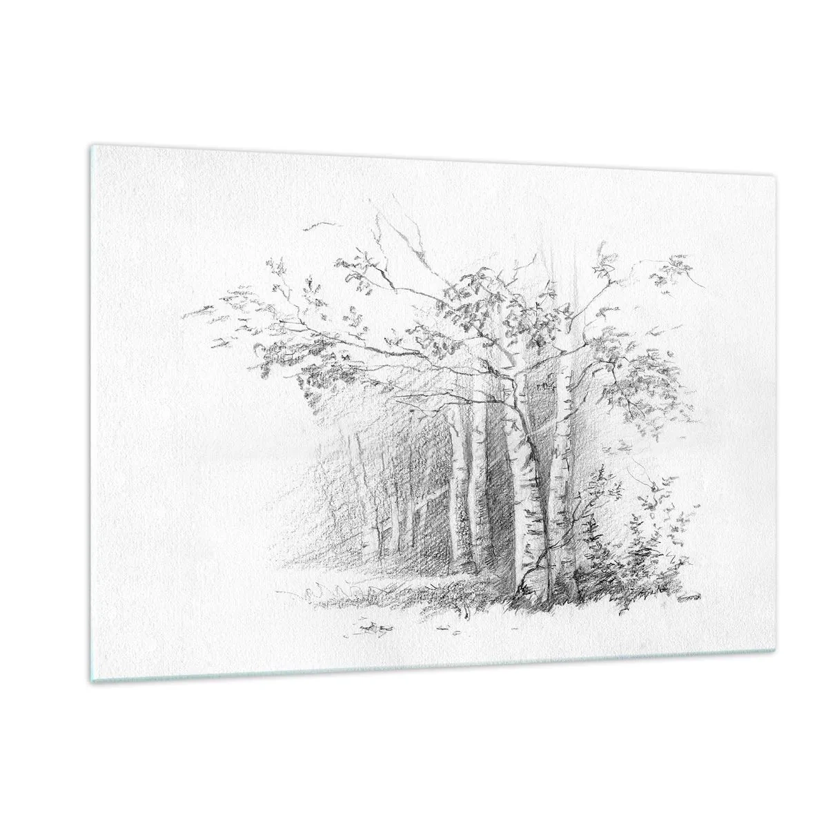 Obraz na szkle - Szkic brzozowego lasu w monochromatycznej tonacji - 120x80cm - Światło brzozowego lasu - Nowoczesna dekoracja ścienna do salonu, kuchni i sypialni ARTTOR