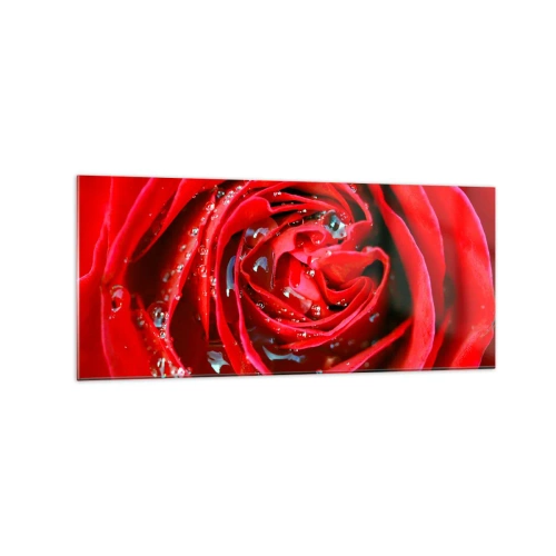 Obraz na szkle - Czerwona róża w zbliżeniu z kroplami wody na płatkach - 120x50cm - W kroplach rosy - Nowoczesna dekoracja ścienna do salonu i sypialni ARTTOR