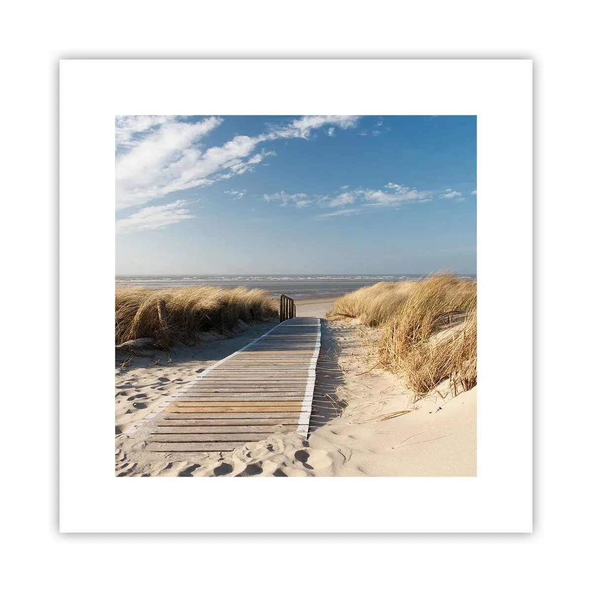 Plakat - Za wydmą, w szumie traw - 30x30 cm