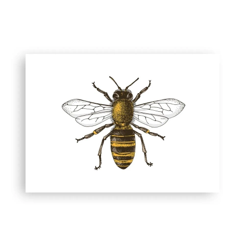 Plakat - Piękna i dobra - 70x50 cm