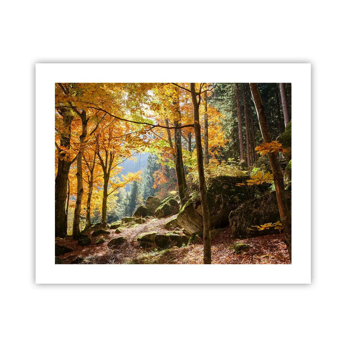 Plakat - Czas na odpoczynek - 50x40 cm