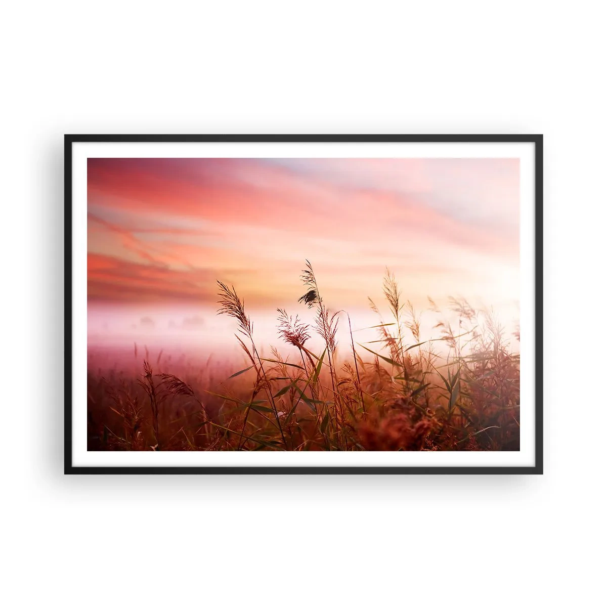 Plakat w czarnej ramie - Pole traw na tle malowniczego zachodu słońca - 100x70cm - Latawce, dmuchawce, wiatr - Nowoczesna dekoracja ścienna do salonu i sypialni ARTTOR
