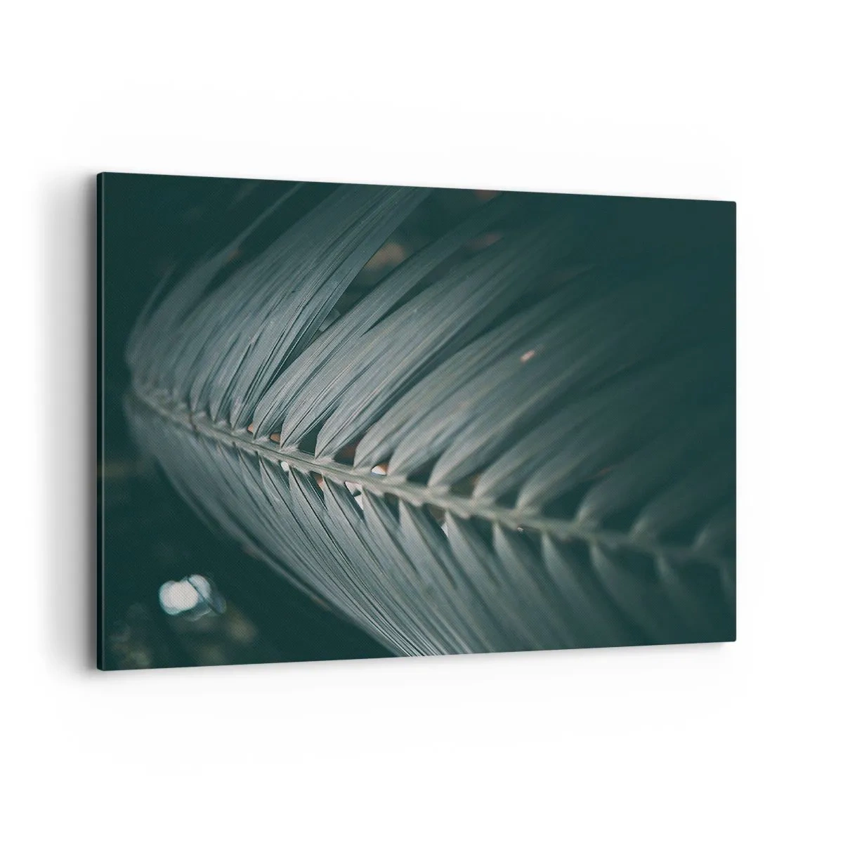 Obraz na płótnie - Zbliżenie na detal liścia palmowego w ciemnej tonacji - 120x80cm - Precyzja natury - Nowoczesna dekoracja ścienna do salonu, kuchni i sypialni ARTTOR
