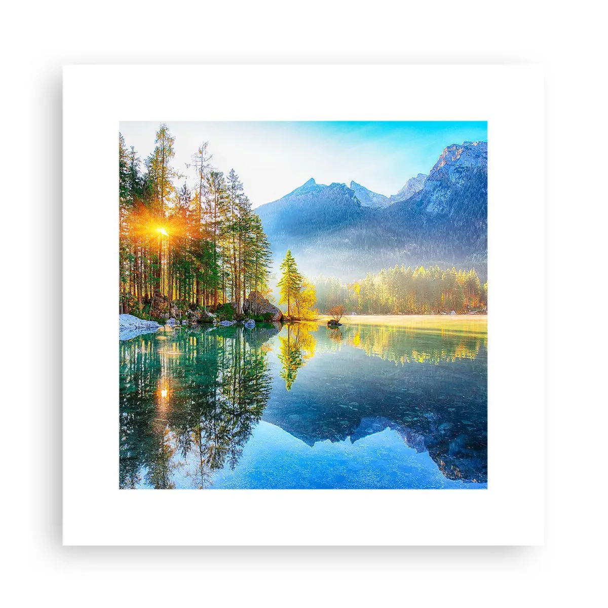 Plakat - Majestat i słodycz - 30x30 cm