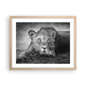 Plakat w ramie jasny dąb - Królewskie szczenię - 50x40 cm