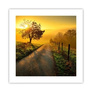Plakat - Miodne popołudnie - 40x40 cm