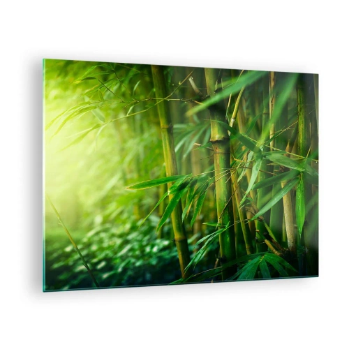 Obraz na szkle - Zielony bambusowy las w promieniach słońca - 70x50cm - Poznać zieleń samą w sobie - Nowoczesna dekoracja ścienna do salonu i sypialni ARTTOR