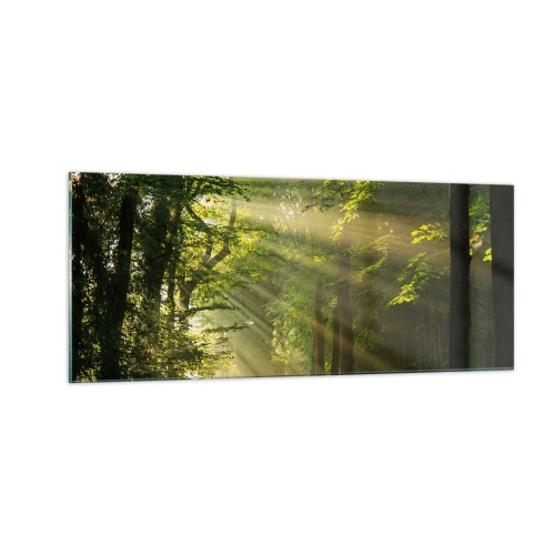 Obraz na szkle - Leśna chwila - 100x40 cm