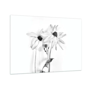 Obraz na szkle - Czarno-białe kwiaty w minimalistycznym stylu - 100x70cm - Nikt nie chce być sam - Nowoczesna dekoracja ścienna do salonu, kuchni i sypialni ARTTOR