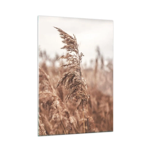 Obraz na szkle - Suszone trawy na wietrze w jesiennym świetle natury - 50x70cm - Na polach już jesień - Nowoczesna dekoracja ścienna do salonu, kuchni i sypialni ARTTOR