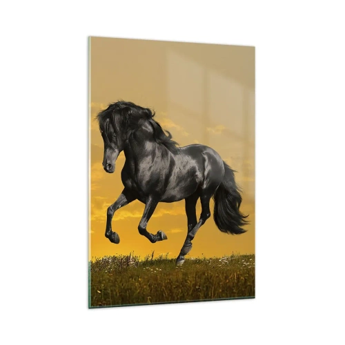 Obraz na szkle - Czarny koń galopujący na tle złotego zachodu słońca - 80x120cm - Piękny, wolny i dziki - Nowoczesna dekoracja ścienna do salonu i sypialni ARTTOR