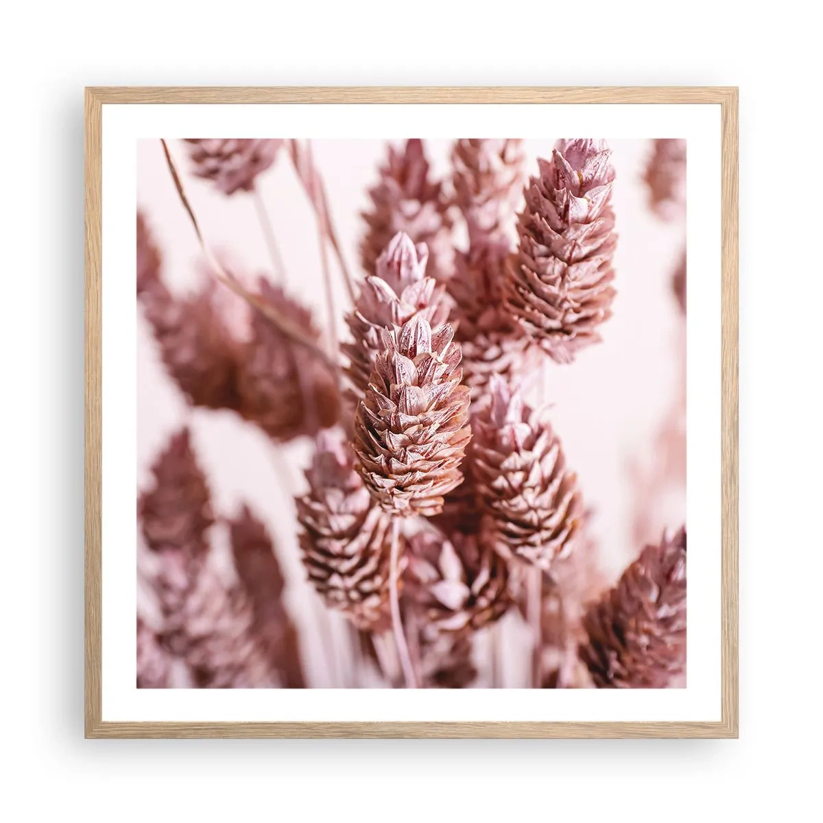 Plakat w ramie jasny dąb - Z pozoru niepozorne - 60x60 cm