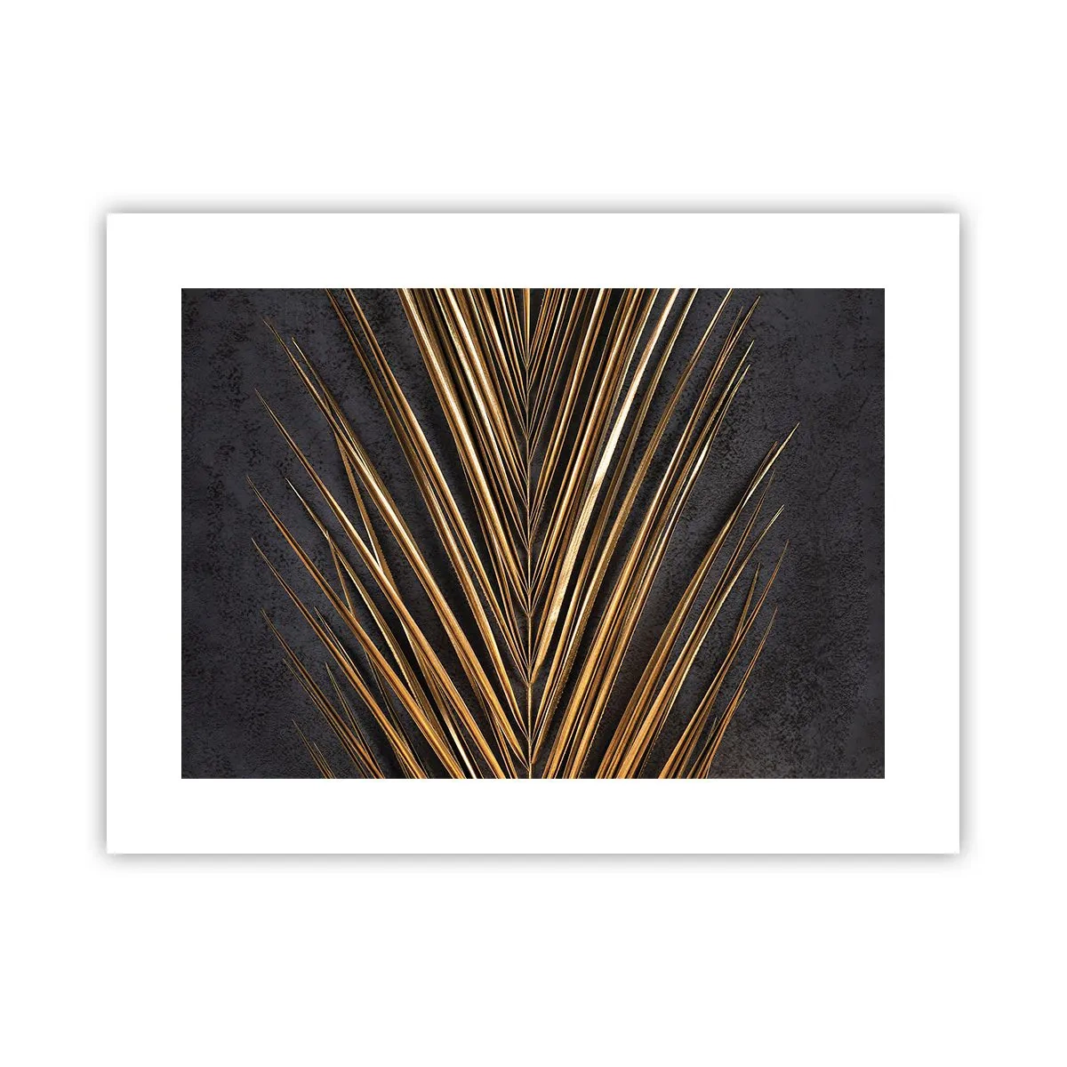 Plakat - Złoto tropików - 40x30 cm