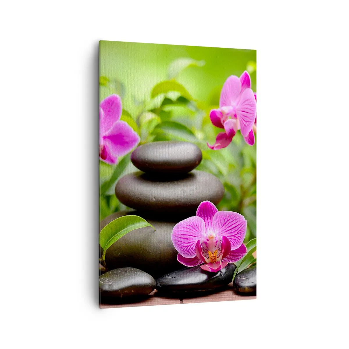 Obraz na płótnie - Różowe orchidee z kamieniami na tle zieleni - 80x120cm - Piramida spokoju - Nowoczesna dekoracja ścienna do salonu i sypialni ARTTOR