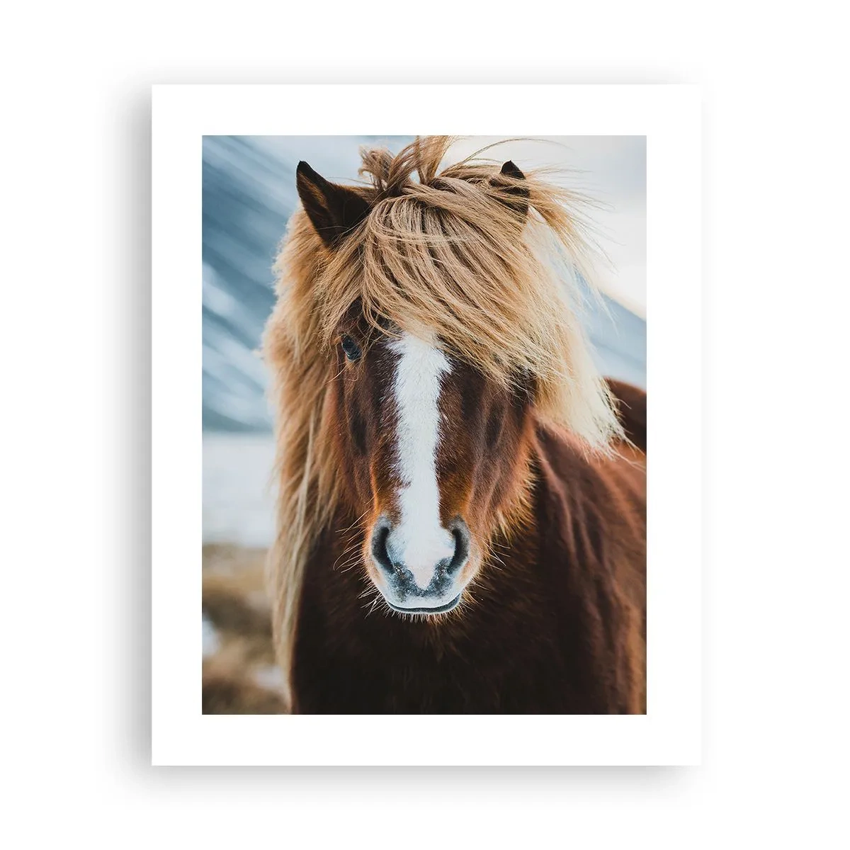 Plakat - Czujesz wolność? - 40x50 cm