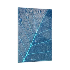 Obraz na szkle - Liść w błękitnych odcieniach z kroplami wody - 80x120cm - Życie w błękicie - Nowoczesna dekoracja ścienna do salonu i sypialni ARTTOR