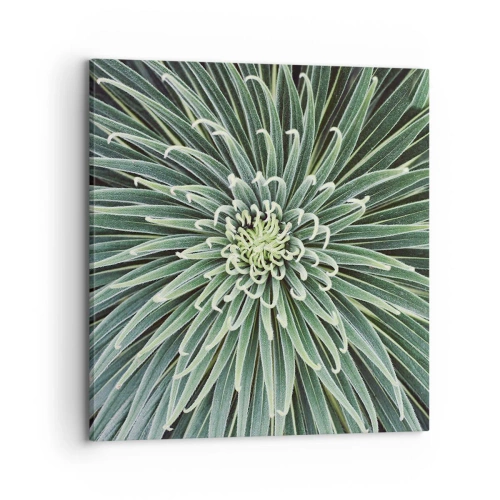 Obraz na płótnie - Narodziny gwiazdy - 70x70 cm