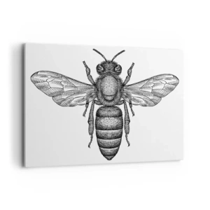 Obraz na płótnie - Rysunkowy motyw pszczoły na białym tle w minimalistycznym stylu - 120x80cm - Owadzi portret - Nowoczesna dekoracja ścienna do salonu, kuchni i sypialni ARTTOR