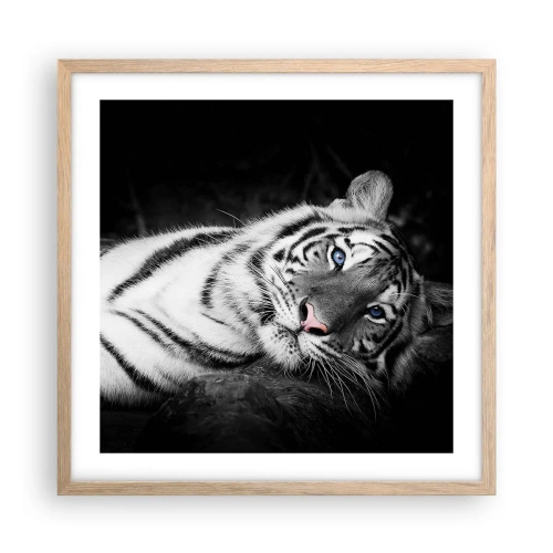 Plakat w ramie jasny dąb - Dzikość i spokój - 50x50 cm