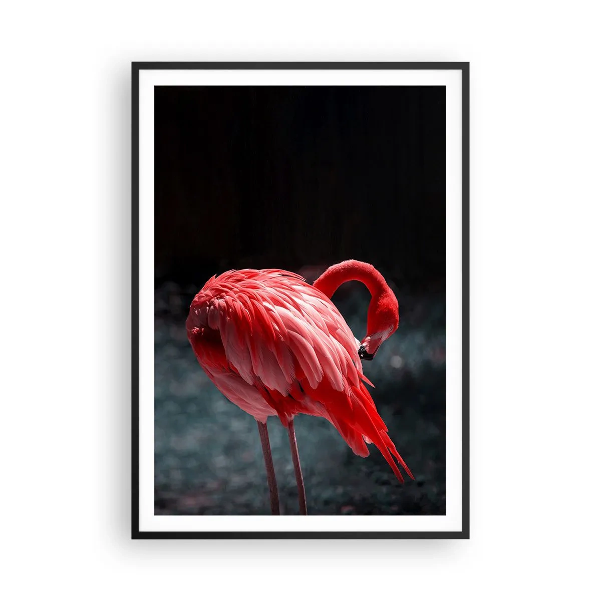 Plakat w czarnej ramie - Karmazynowy poemat natury - 70x100 cm