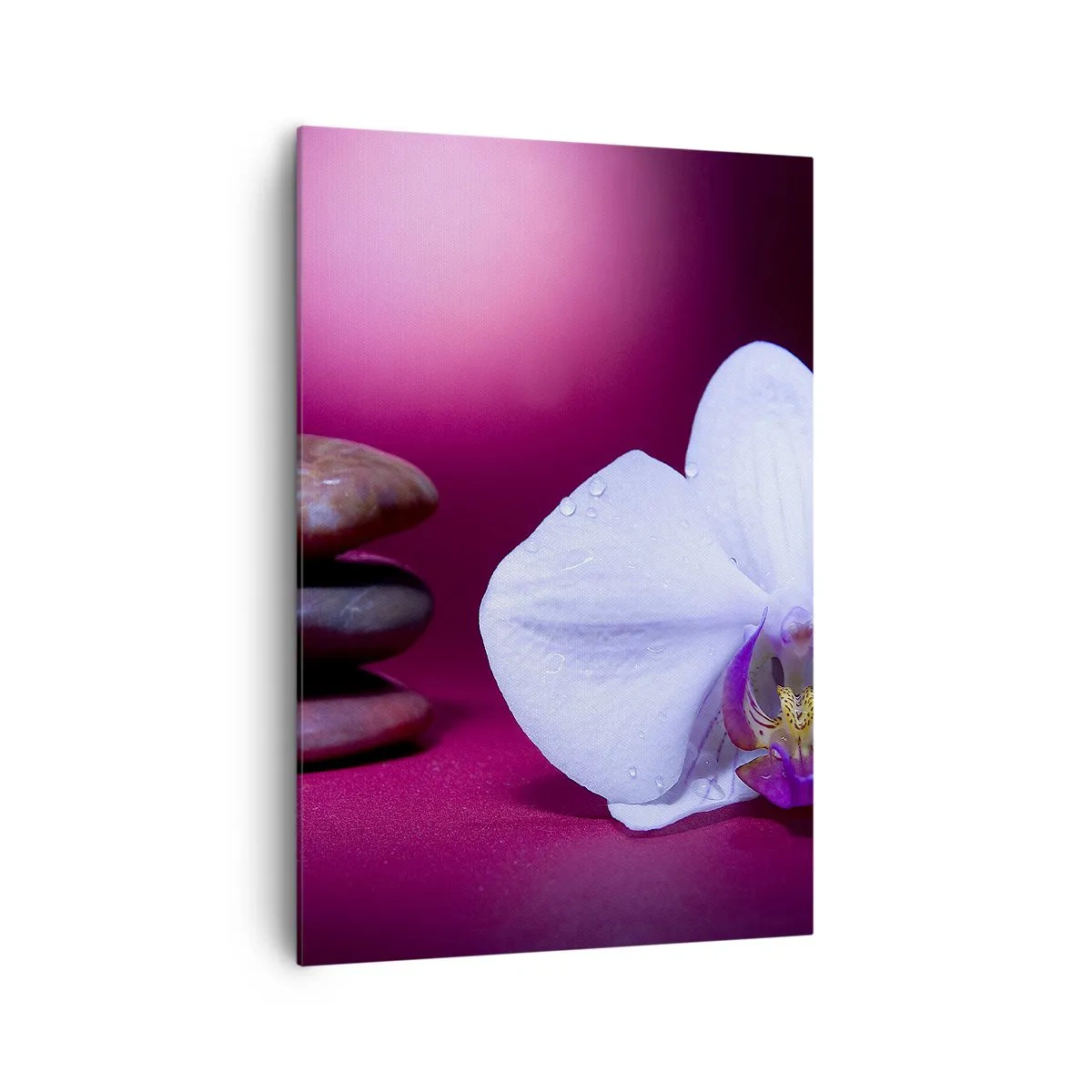 Obraz na płótnie - Biała orchidea i kamienie na różowym tle - 70x100cm - Studium świeżości w fiolecie - Nowoczesna dekoracja ścienna do salonu i sypialni ARTTOR