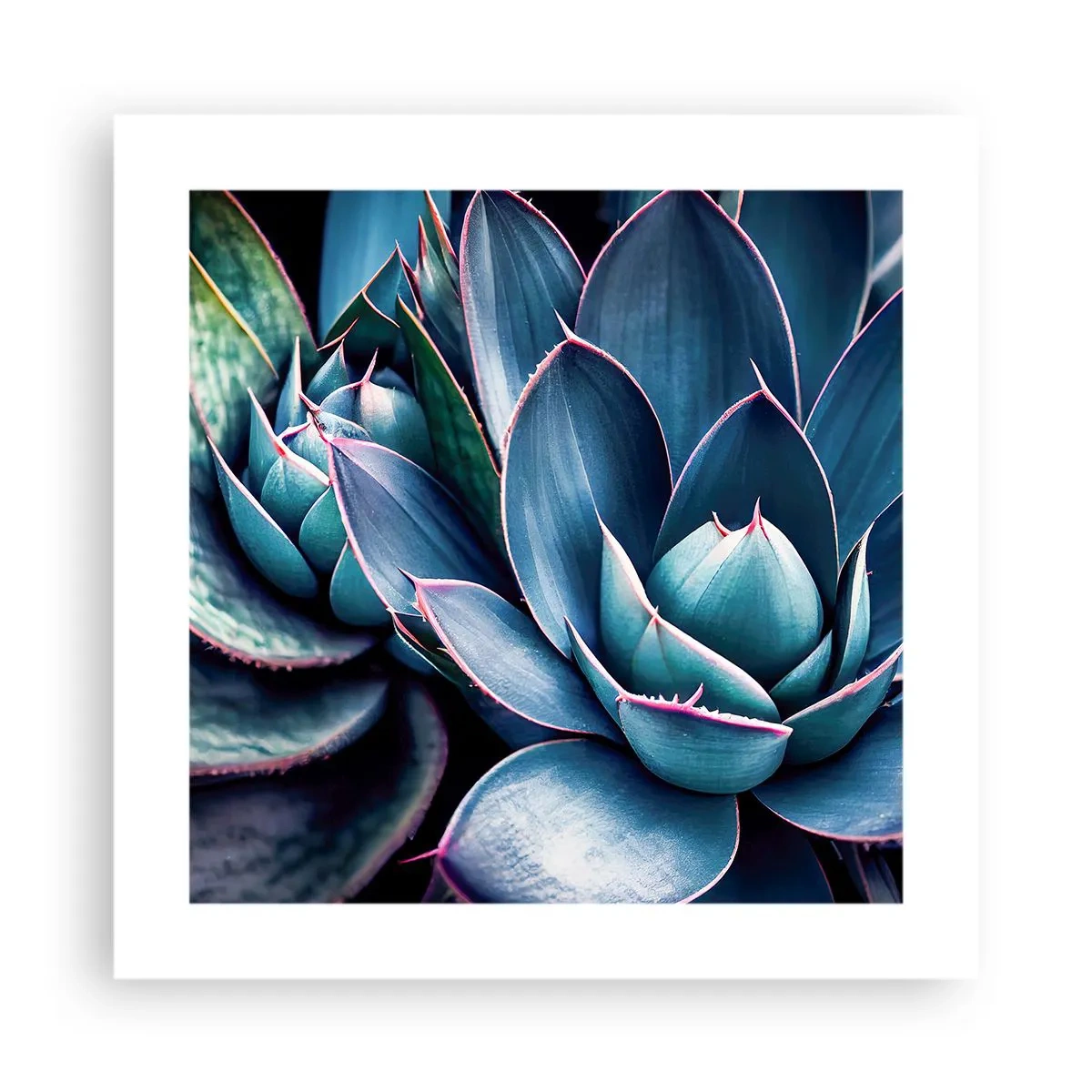 Plakat - Witalna siła - 40x40 cm