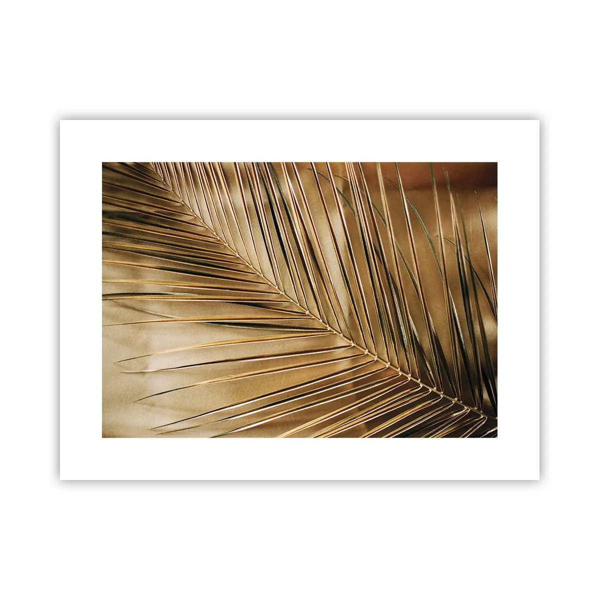 Plakat - Naturalna kolumnada - 40x30 cm