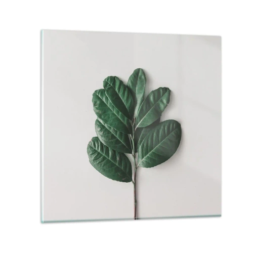 Obraz na szkle - Rysunek samej natury - 70x70 cm