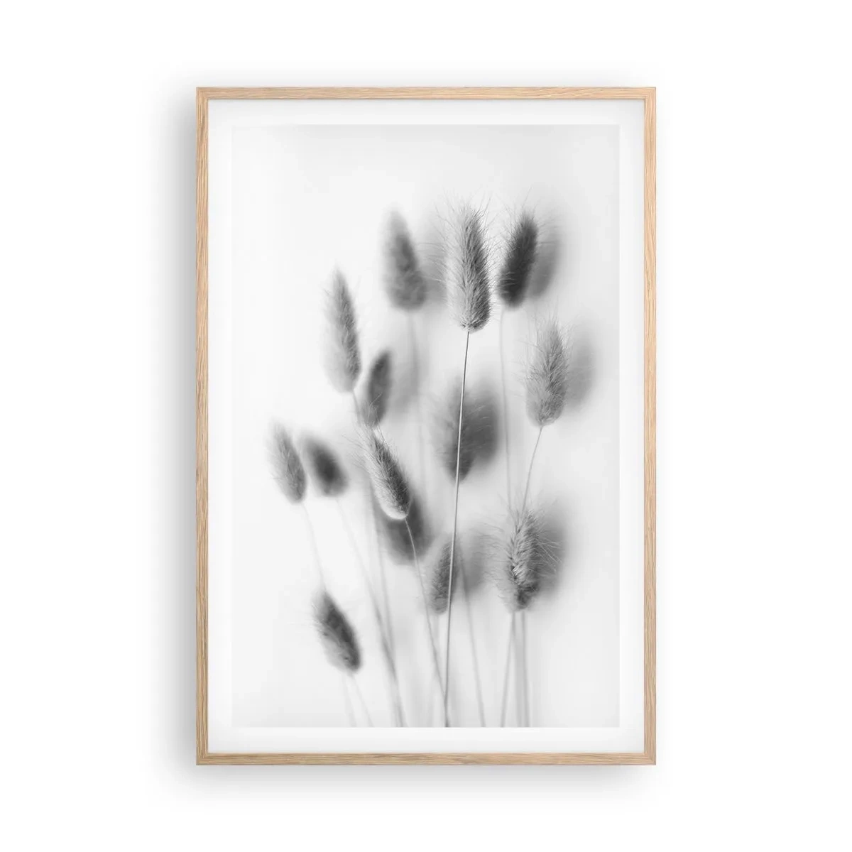 Plakat w ramie jasny dąb - Jej puszystość trawa - 61x91 cm