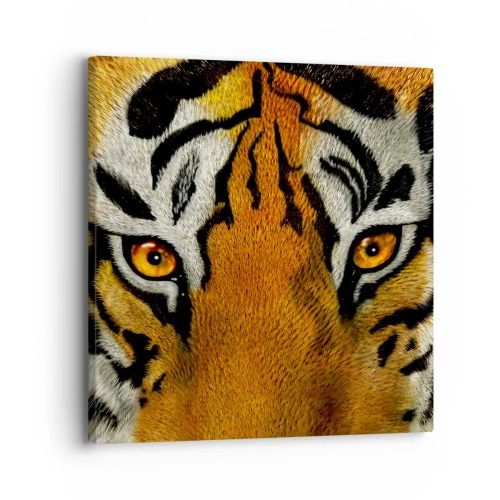 Obraz na płótnie - Groźny i piękny - 30x30 cm