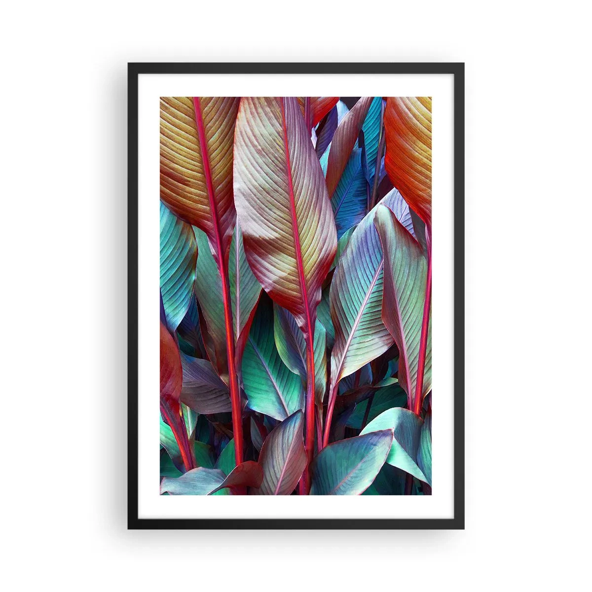 Plakat w czarnej ramie - Kolorowe liście tropikalnej rośliny w nasyconych barwach - 50x70cm - Kolorowy gąszcz - Nowoczesna dekoracja ścienna do salonu i sypialni ARTTOR