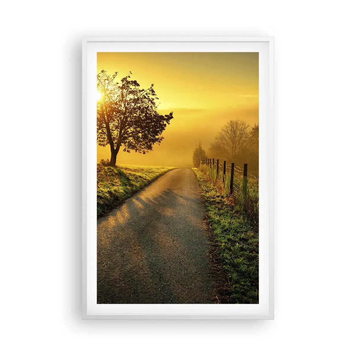 Plakat w białej ramie - Miodne popołudnie - 61x91 cm