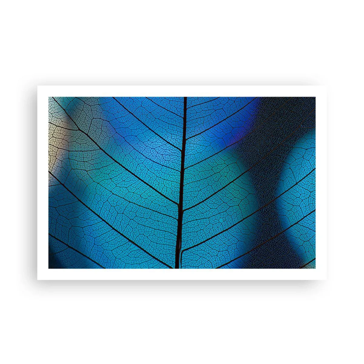 Plakat - Misterna budowa - 91x61 cm