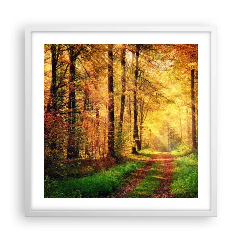 Plakat w białej ramie - Leśno-złota cisza - 50x50 cm