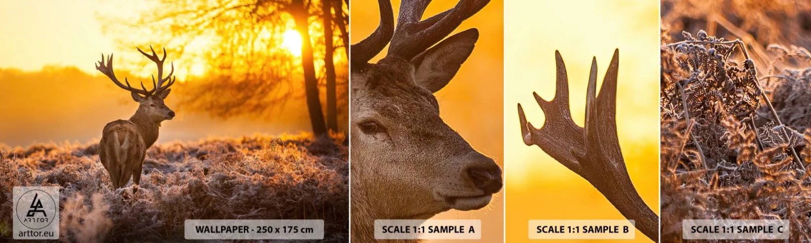 Fototapeta Próbka Samoprzylepna Deluxe Sticker - Król jesiennego lasu - Krajobraz, Jeleń, Natura - 100x30 cm