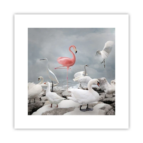 Plakat - Skąd się tu wziąłem? - 30x30 cm