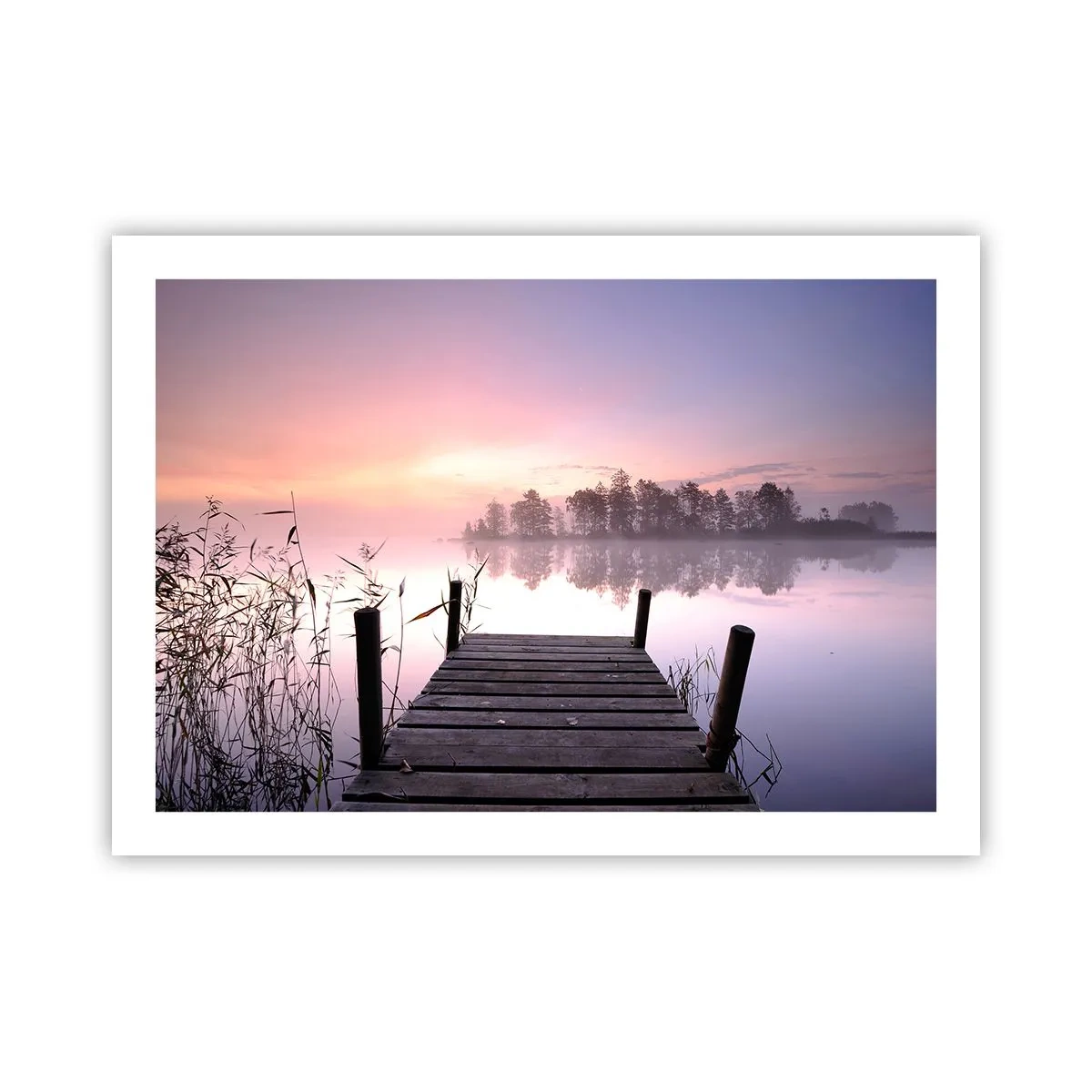 Plakat - Z liliowej mgły... - 70x50 cm