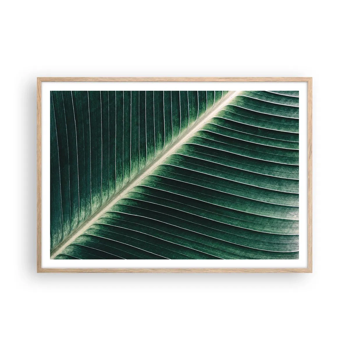 Plakat w ramie jasny dąb - Rytm natury - 100x70 cm