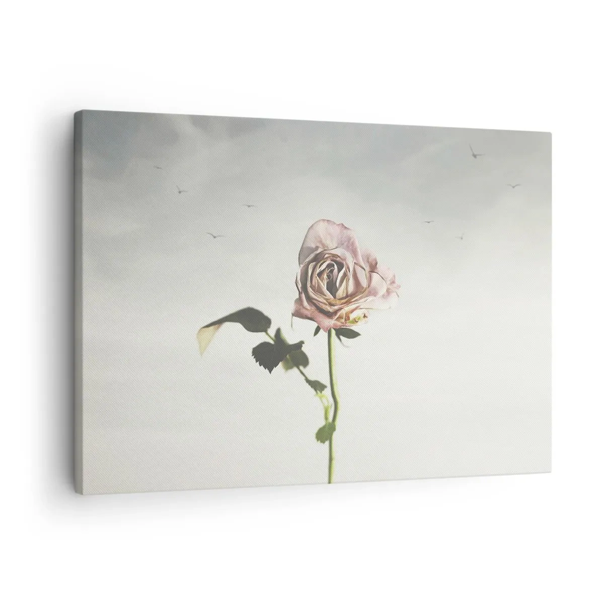 Obraz na płótnie - Delikatna róża na tle jasnego nieba z lecącymi ptakami - 70x50cm - Powitanie wiosny - Nowoczesna dekoracja ścienna do salonu i sypialni ARTTOR