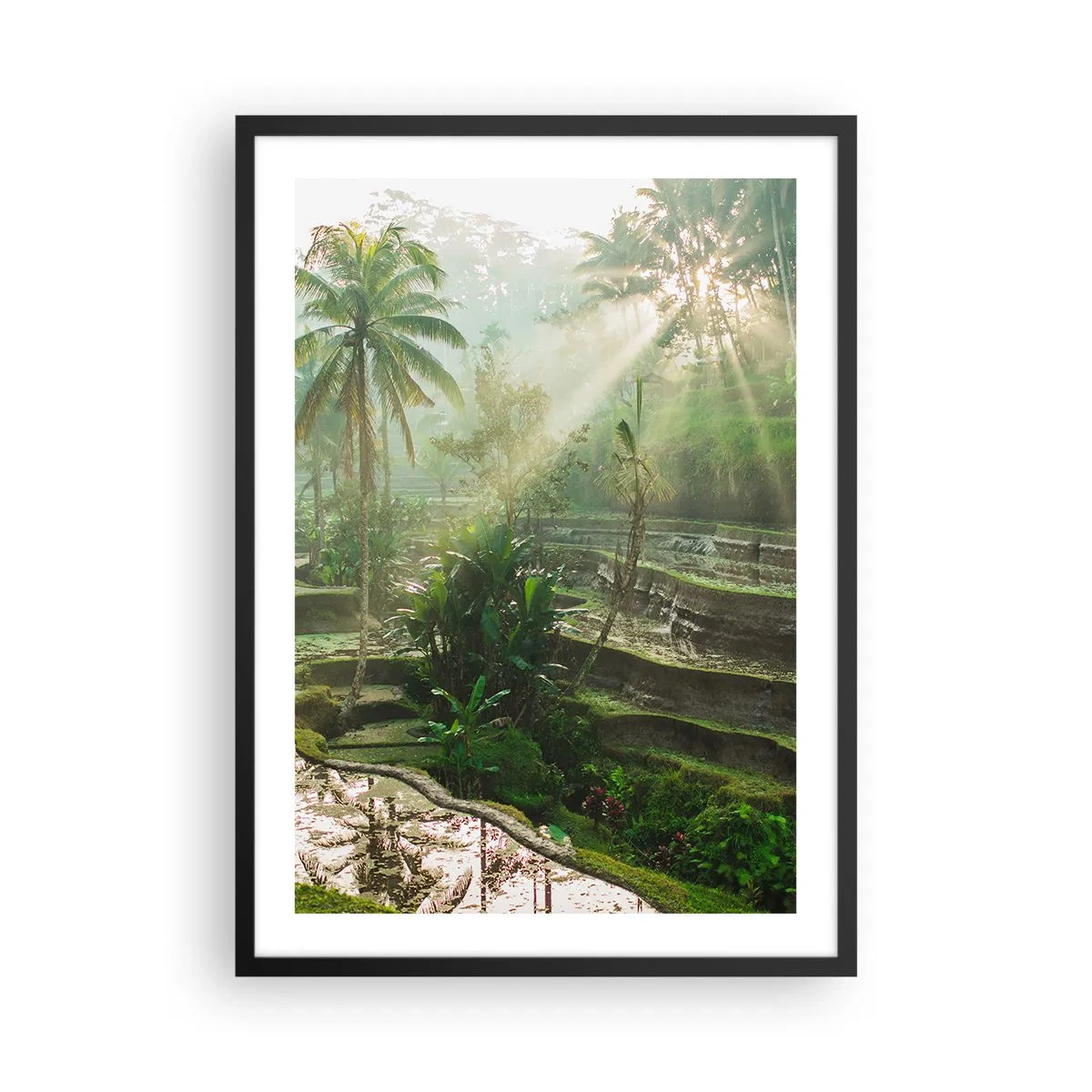 Plakat w czarnej ramie - Tropikalny krajobraz z tarasami ryżowymi i promieniami słońca - 50x70cm - Dorastać w słońcu - Nowoczesna dekoracja ścienna do salonu i sypialni ARTTOR
