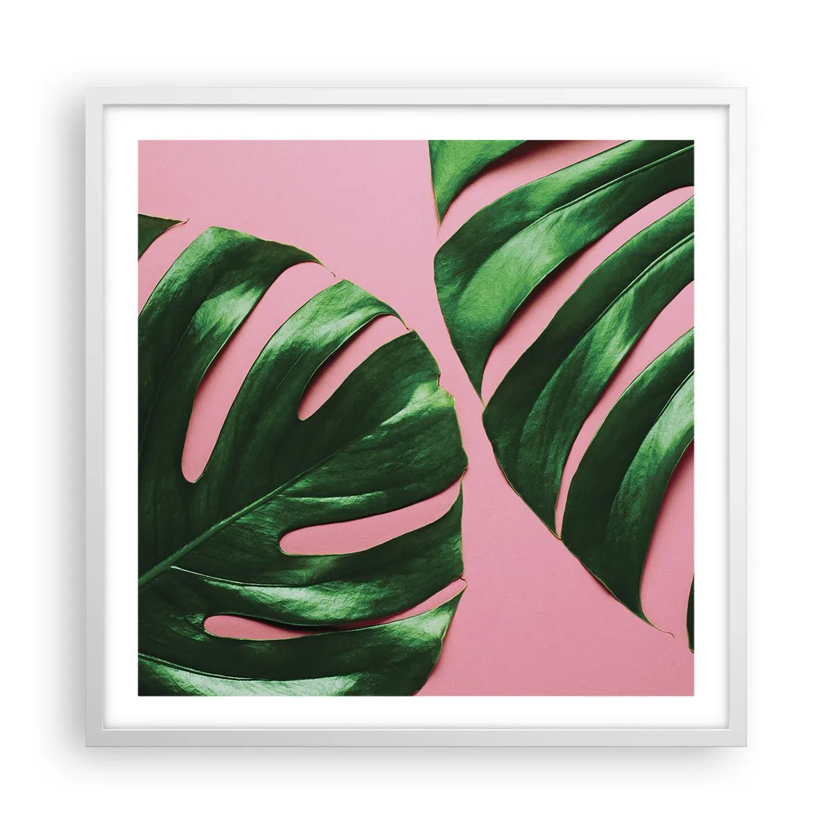 Plakat w białej ramie - Zielone rendez-vous - 60x60 cm