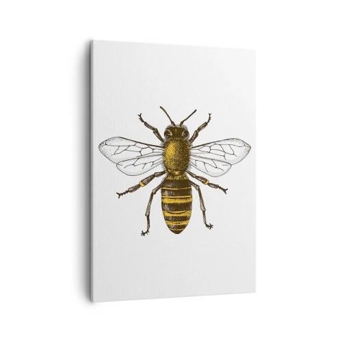 Obraz na płótnie - Szczegółowa ilustracja pszczoły z delikatnymi skrzydłami na białym tle - 50x70cm - Piękna i dobra - Nowoczesna dekoracja ścienna do salonu, kuchni i sypialni ARTTOR