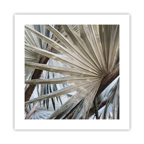 Plakat - Wachlarze w tropikach - 40x40 cm