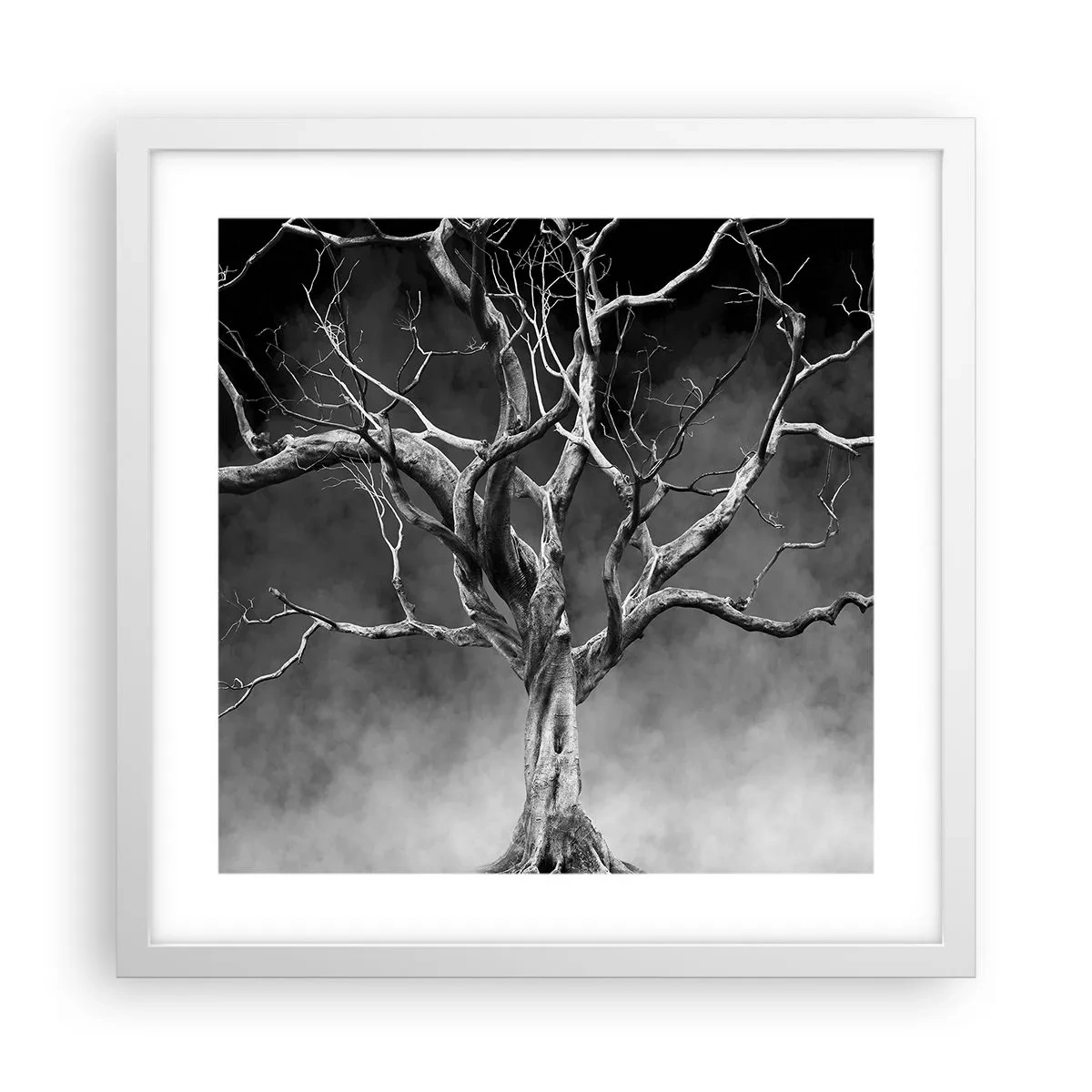 Plakat w białej ramie - Pierwotne i święte - 40x40 cm