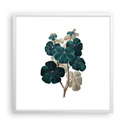 Plakat w białej ramie - Ze starego zielnika - 60x60 cm