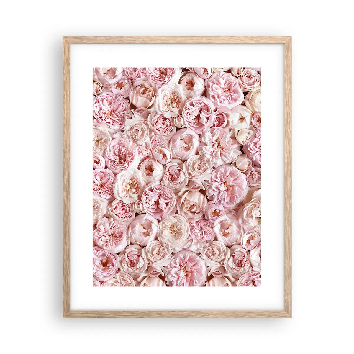 Plakat w ramie jasny dąb - Usłane różami - 40x50 cm