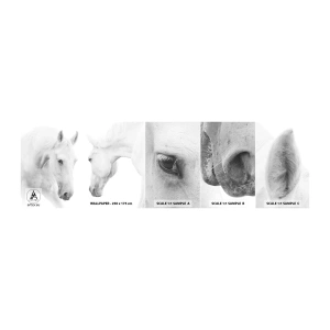 Fototapeta Próbka Samoprzylepna Deluxe Sticker - Czy to jest przyjaźń…? - Konie, Natura, Zwierzęta - 100x30 cm